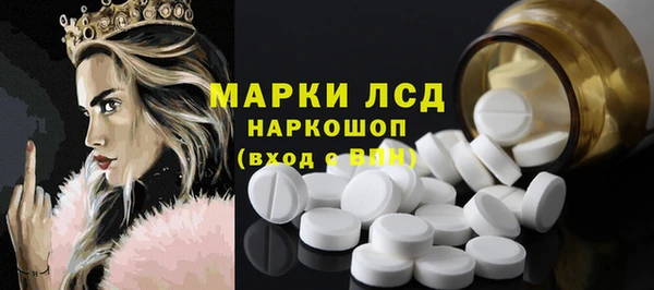 mdpv Бородино