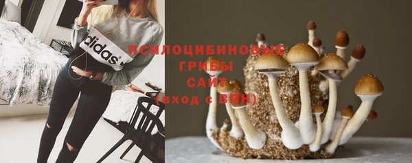 спиды Бронницы
