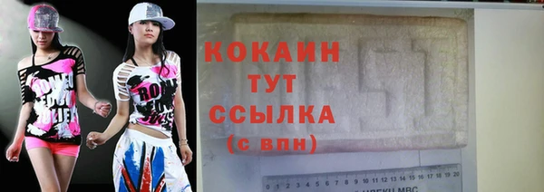mdpv Бородино