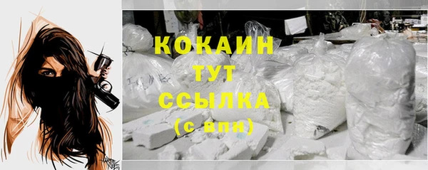 mdpv Бородино